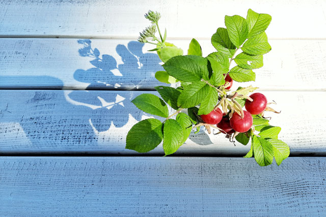 Hochzeitsfotograf Boltenhagen