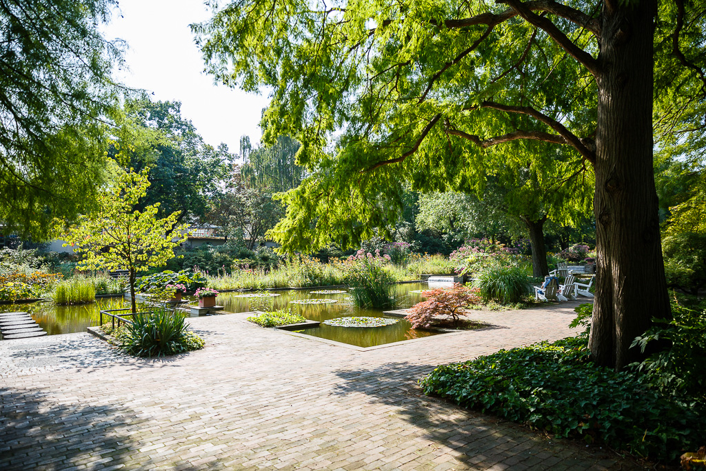 Hochzeitsfotograf Brautpaar Hamburg