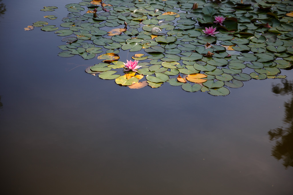 Hochzeitsfotograf Hamburg